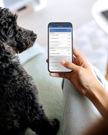 a woman utilizing mobile banking on her phone.