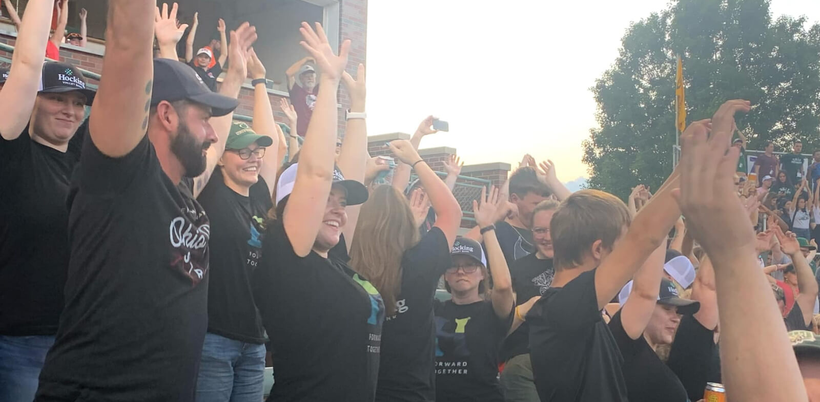 Crowd with hands in the air at a Copperheads baseball game